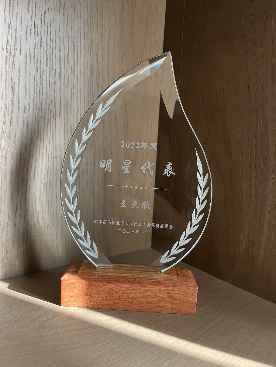 王天欣松北區人大******明星代表